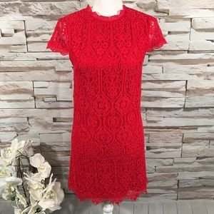 Francescas Lace Mini Dress Sz XS (J10)